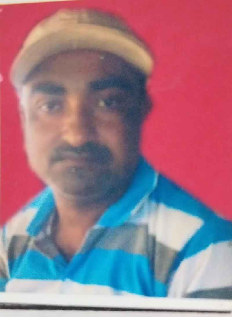 दिल सेर आलम